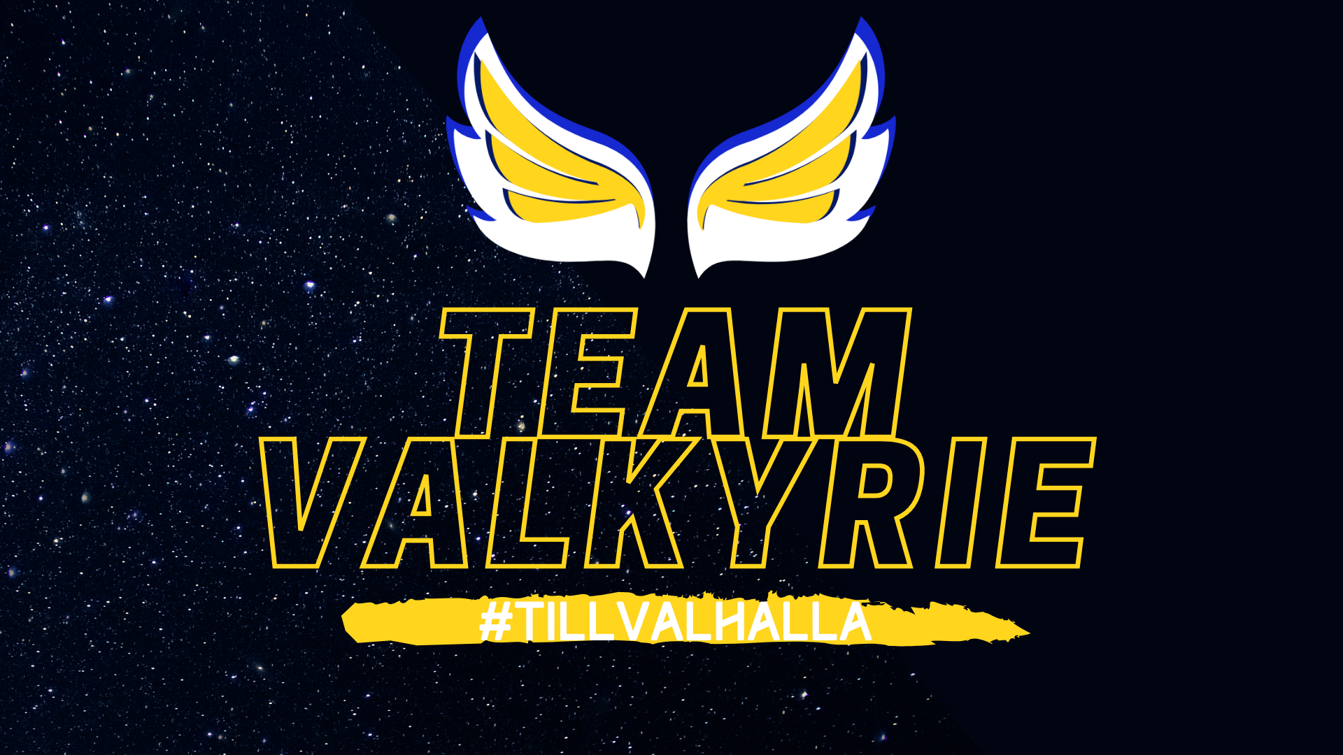 Team Valkyrie