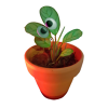 Mr. Plant- by Coco4Games