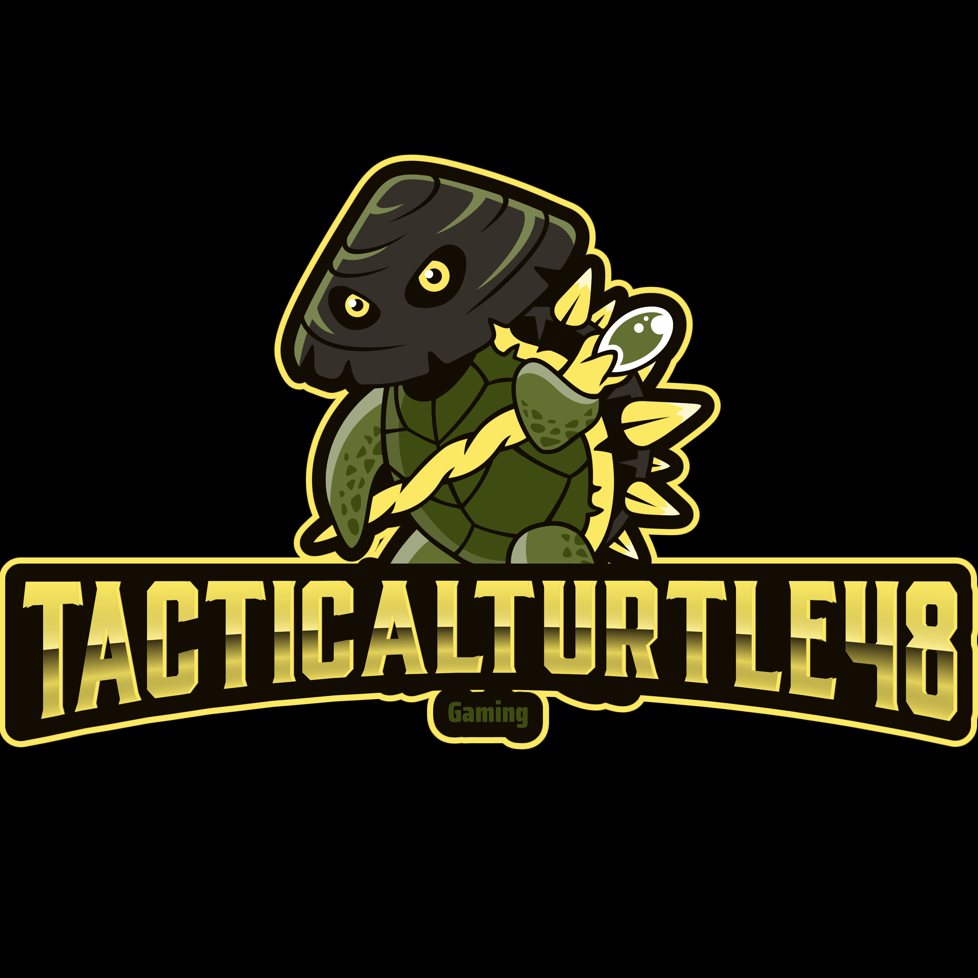 TacticalTurtle48