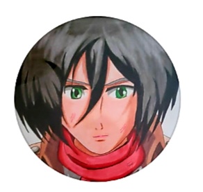 Mikasa_4231